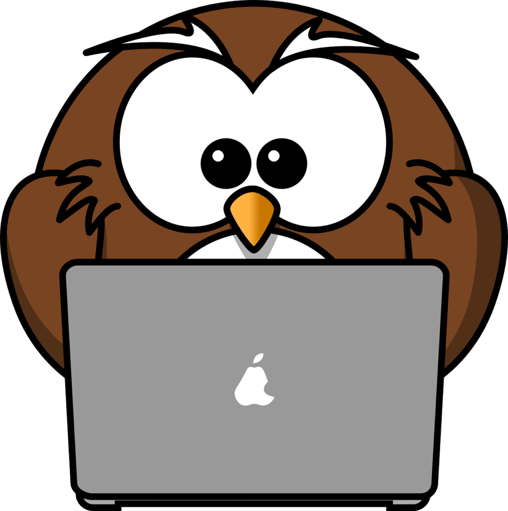 Home Page Image of an Owl at a Laptop