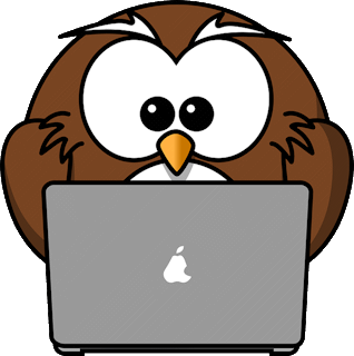 Owl sat behind a laptop